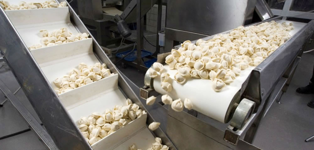 食品小型流米兰体育网页版登录界面官方网站-登录入口